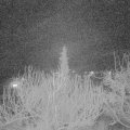 Webcam_20200219-220000