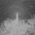 Webcam_20200220-053000