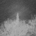 Webcam_20200221-050000
