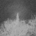 Webcam_20200221-053000