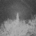 Webcam_20200221-060000