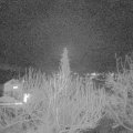Webcam_20200221-190000