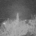 Webcam_20200221-193000