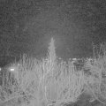 Webcam_20200221-203000