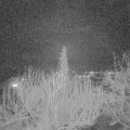 Webcam_20200221-203931