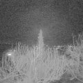 Webcam_20200221-210931