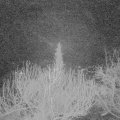 Webcam_20200222-050000