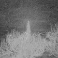 Webcam_20200222-060000