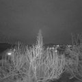 Webcam_20200222-183000