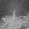 Webcam_20200222-190000
