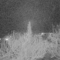 Webcam_20200222-203000