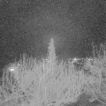 Webcam_20200222-210000