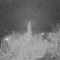 Webcam_20200222-213000