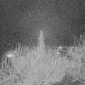 Webcam_20200222-220000