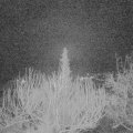 Webcam_20200223-053000