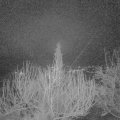 Webcam_20200223-063000