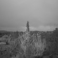 Webcam_20200223-070000