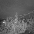 Webcam_20200223-183000
