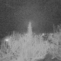 Webcam_20200223-200000