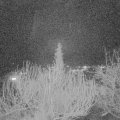 Webcam_20200223-203000