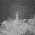 Webcam_20200223-213000