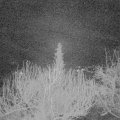 Webcam_20200224-050000
