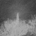 Webcam_20200224-053000