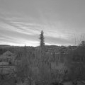 Webcam_20200224-070000