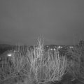 Webcam_20200224-183000