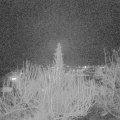 Webcam_20200224-193000