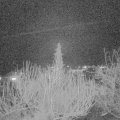 Webcam_20200224-200000