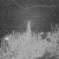 Webcam_20200224-220000