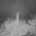 Webcam_20200225-050000