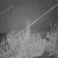 Webcam_20200225-053000