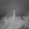 Webcam_20200225-063000