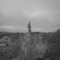 Webcam_20200225-070000