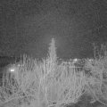 Webcam_20200225-190000