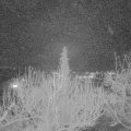Webcam_20200225-193000