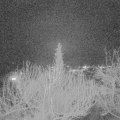 Webcam_20200225-200000