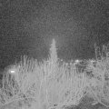 Webcam_20200225-213000