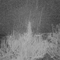 Webcam_20200226-050000