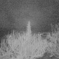 Webcam_20200226-053000