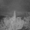Webcam_20200226-063000