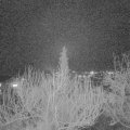 Webcam_20200226-190000