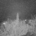Webcam_20200226-193000