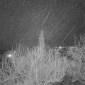 Webcam_20200226-200000