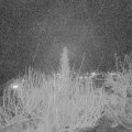 Webcam_20200226-210000