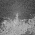 Webcam_20200226-213000