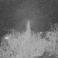 Webcam_20200226-220000