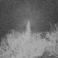 Webcam_20200227-050000